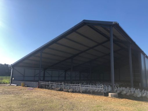 Hangar agricole – 102 kWc – Deux-Sèvres – 05/11/2020